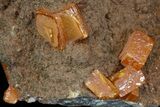 Wulfenite Crystals on Descloizite & Calcite -Los Lamentos, Mexico #163149-2